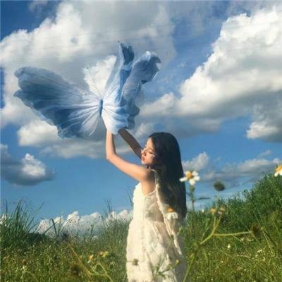 傻人巧破走私党